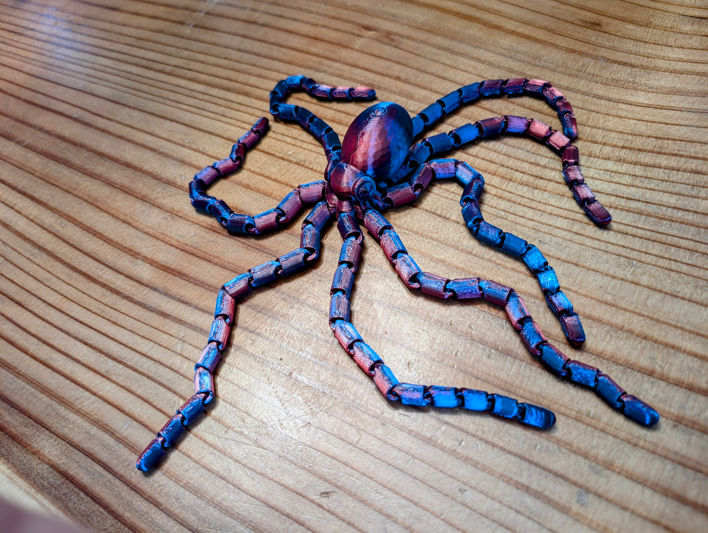 Large Octopus
