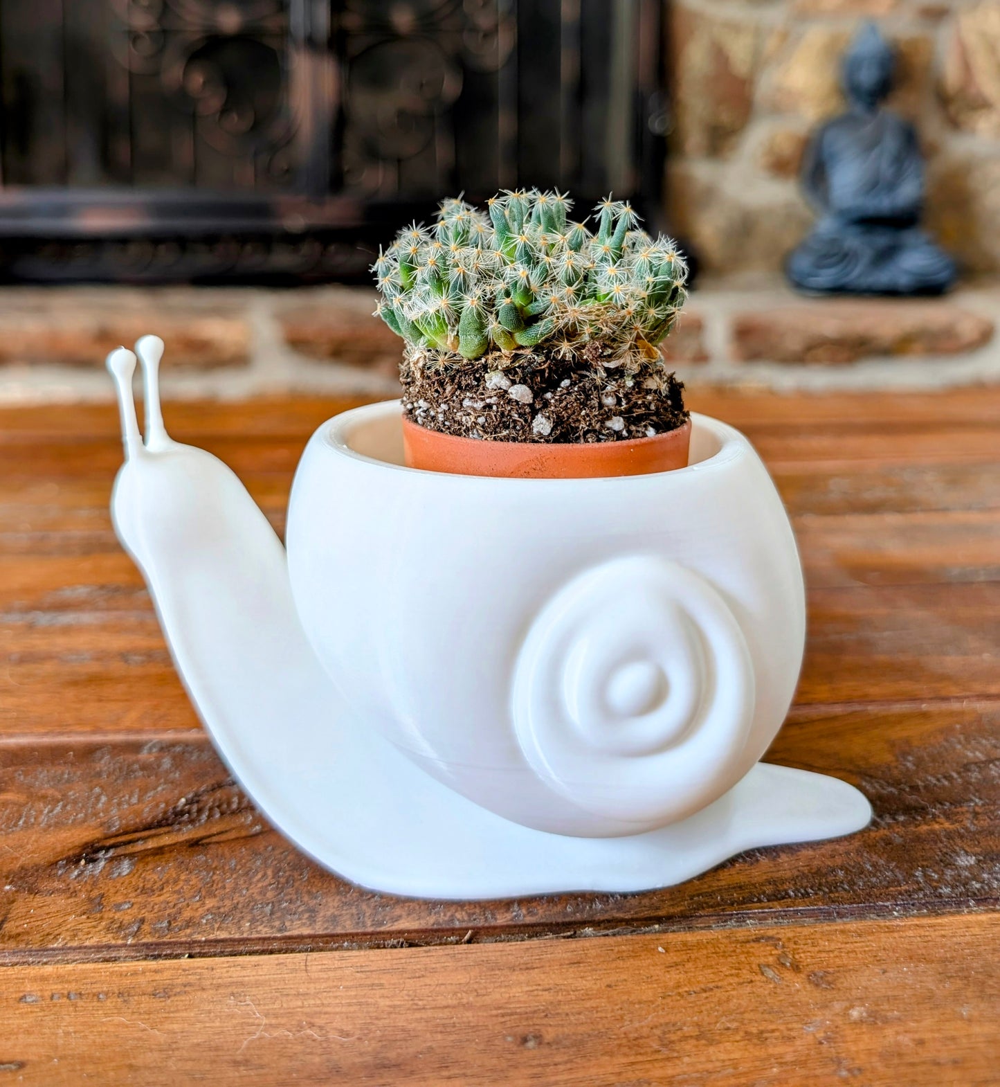 Snail pot