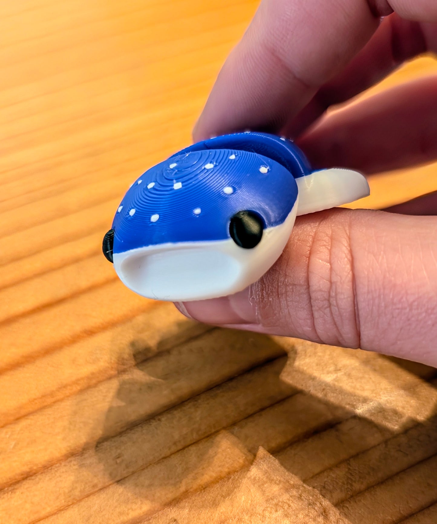 Mini Whale Sharks