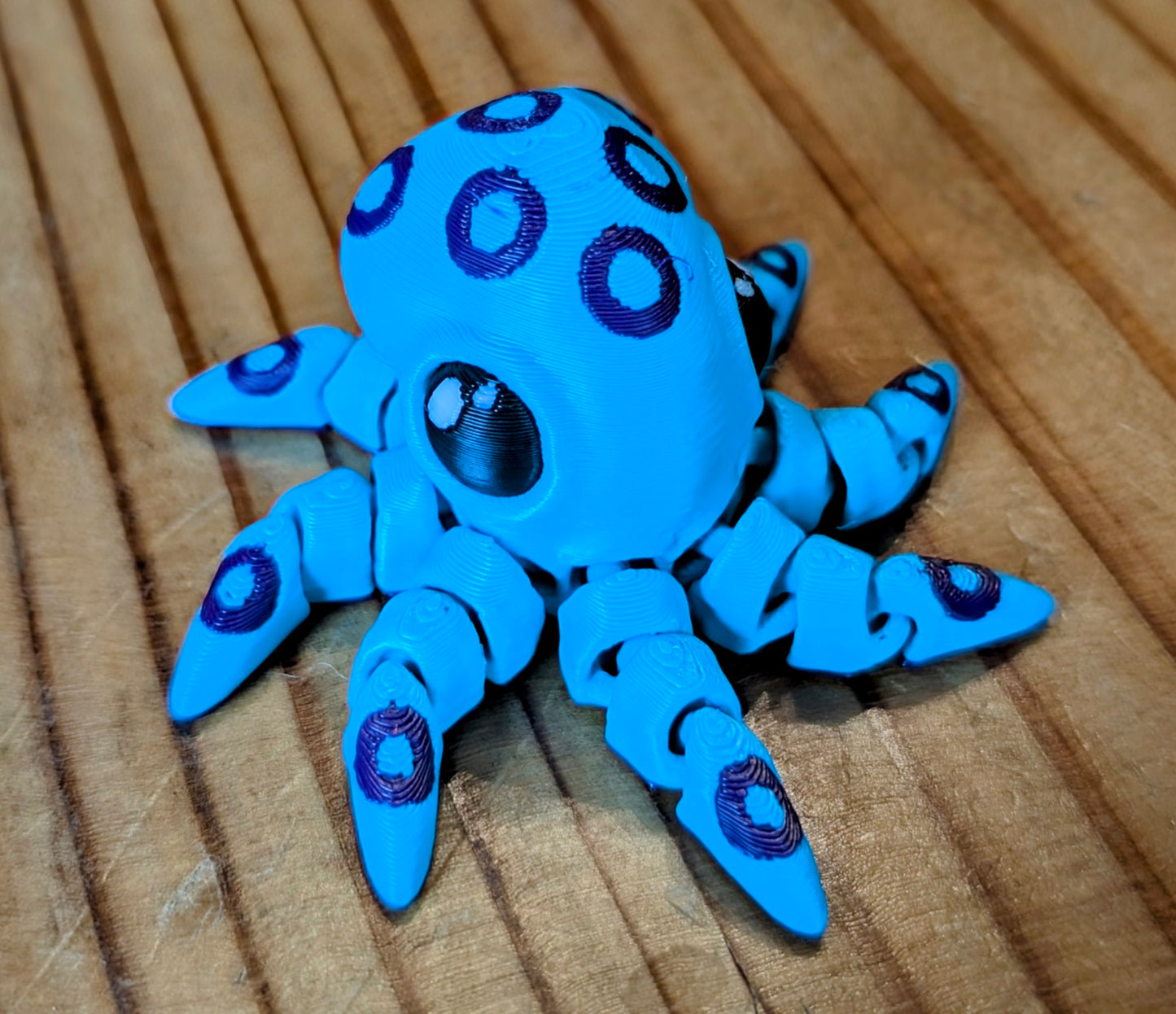 Spotted octopus