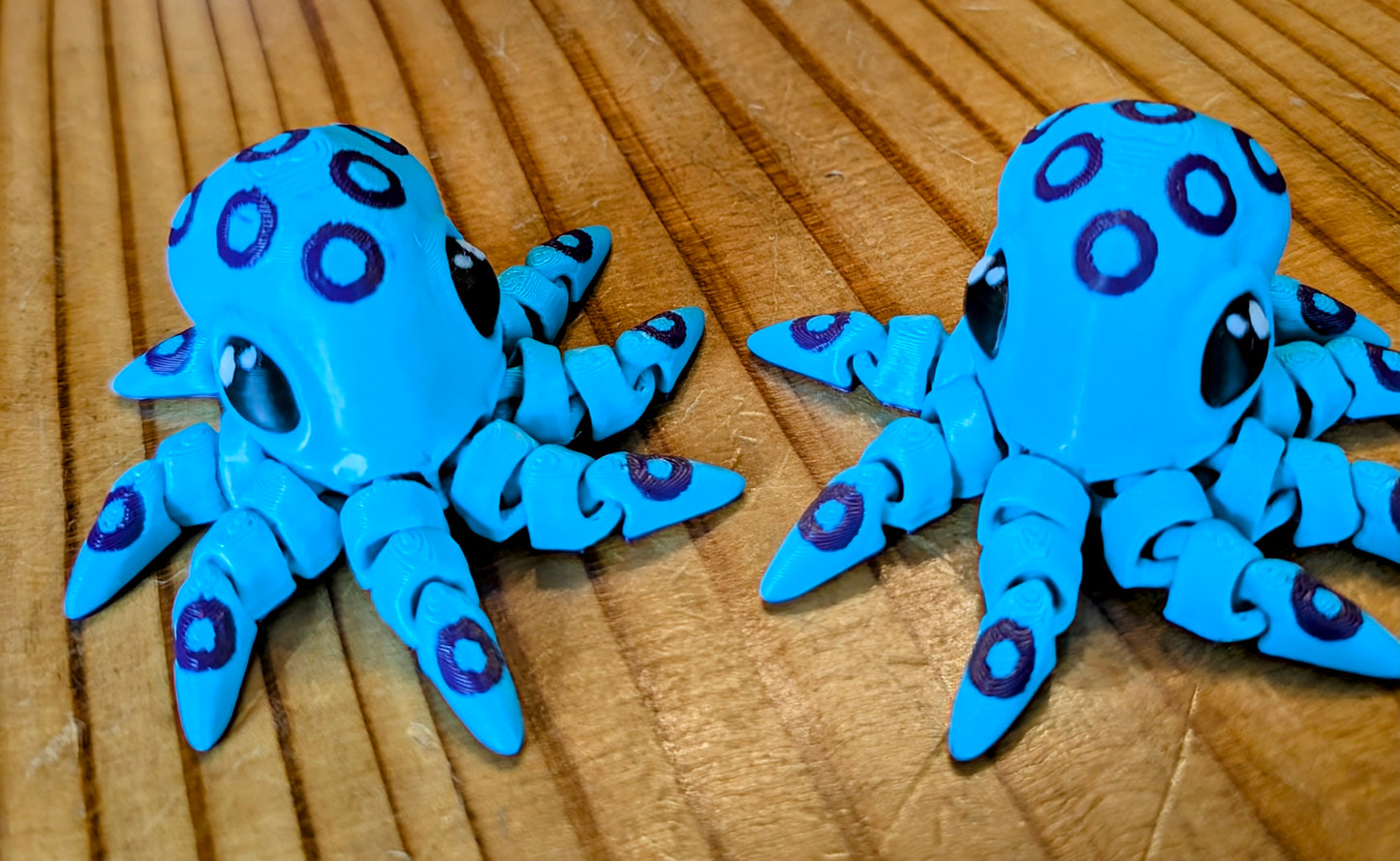 Spotted octopus