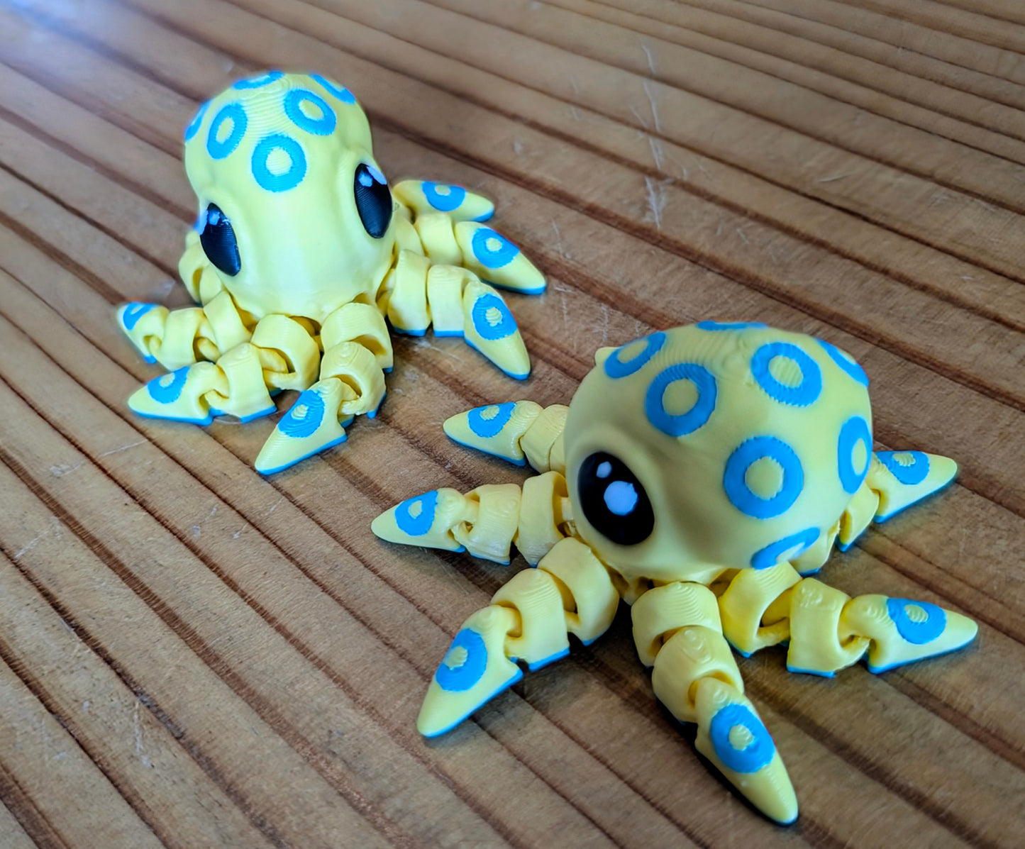 Spotted octopus