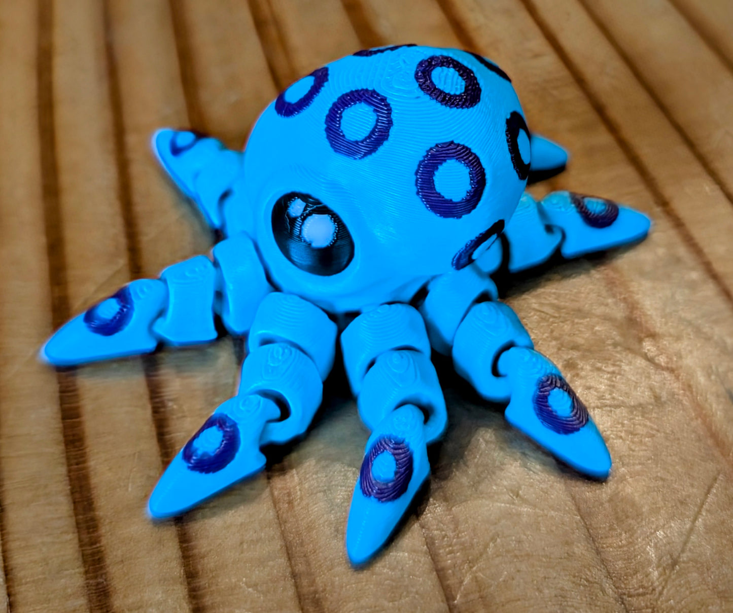 Spotted octopus