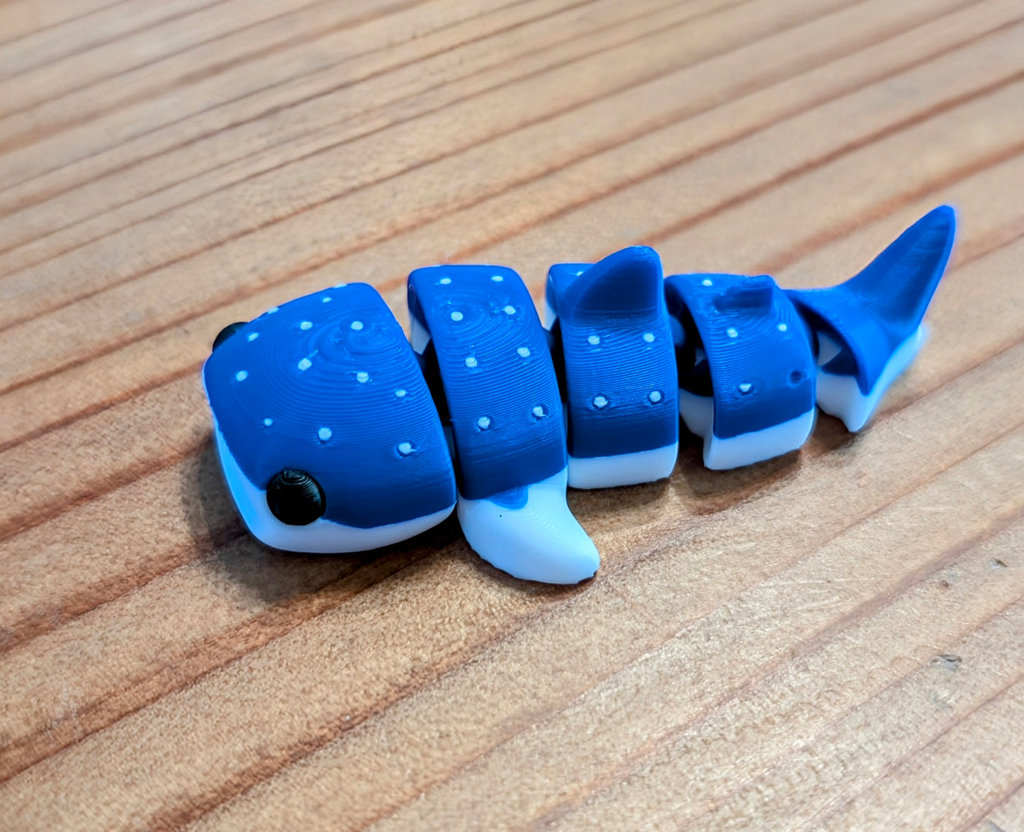 Mini Whale Sharks