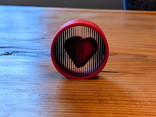 Suspended heart