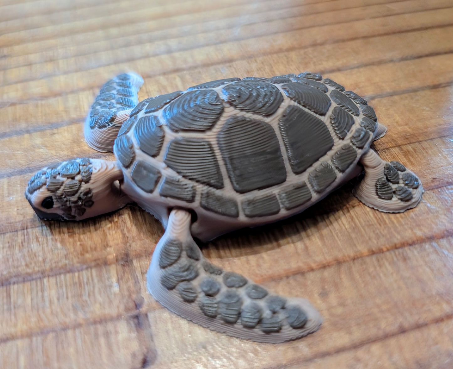 Turtle