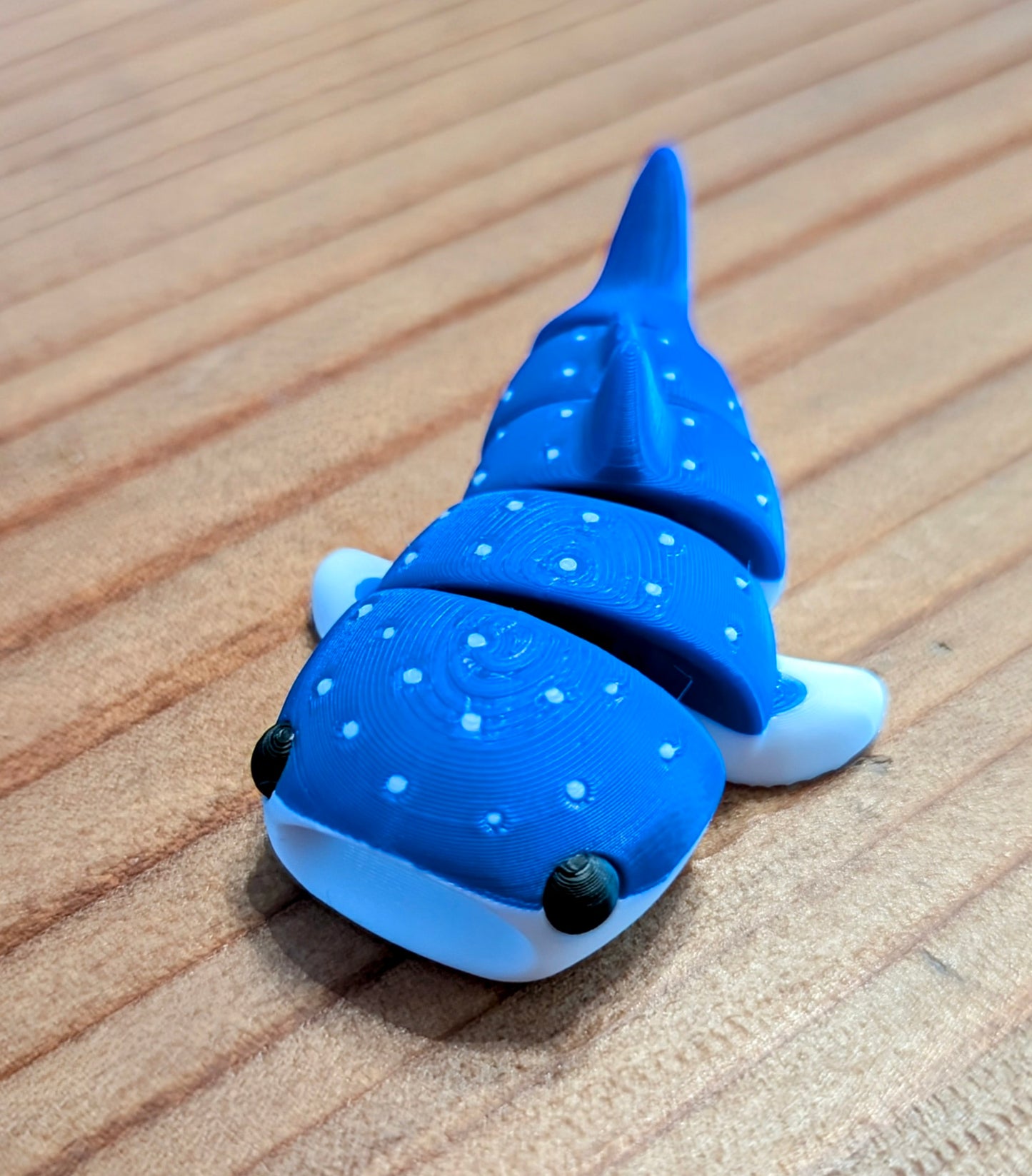 Ocean pack- large