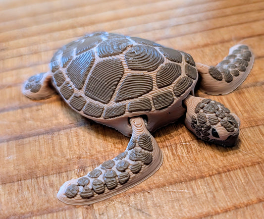 Turtle