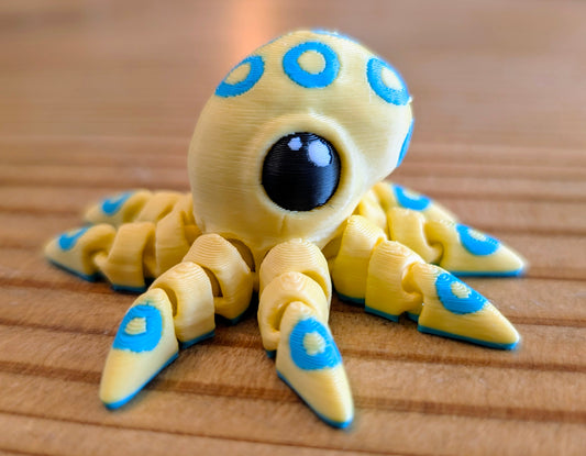 Spotted octopus