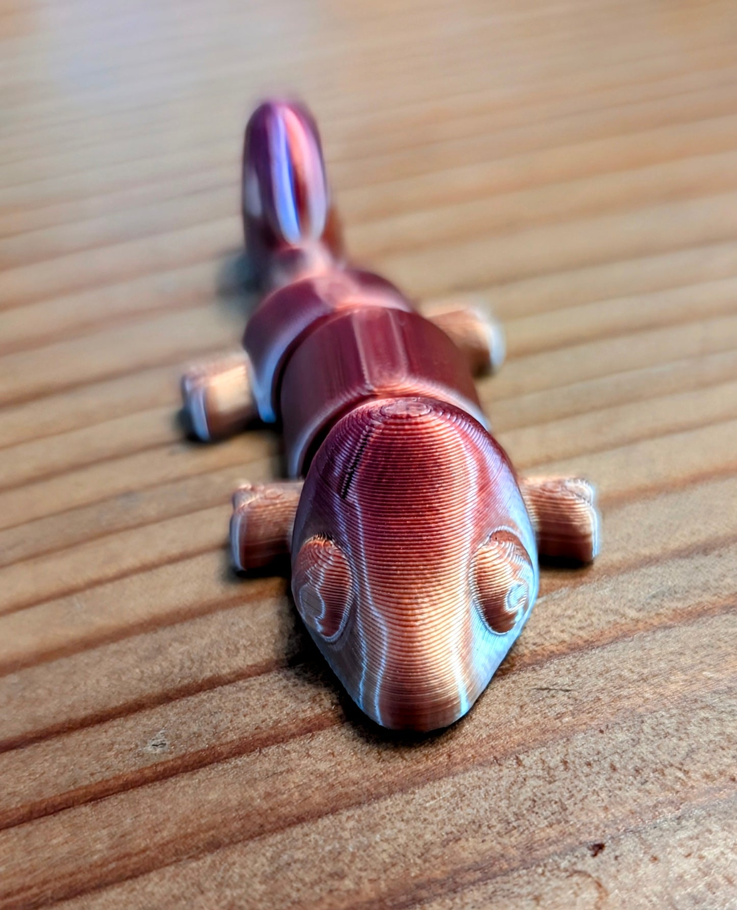 Multi colored chameleons