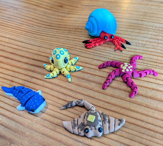 Ocean pack- small