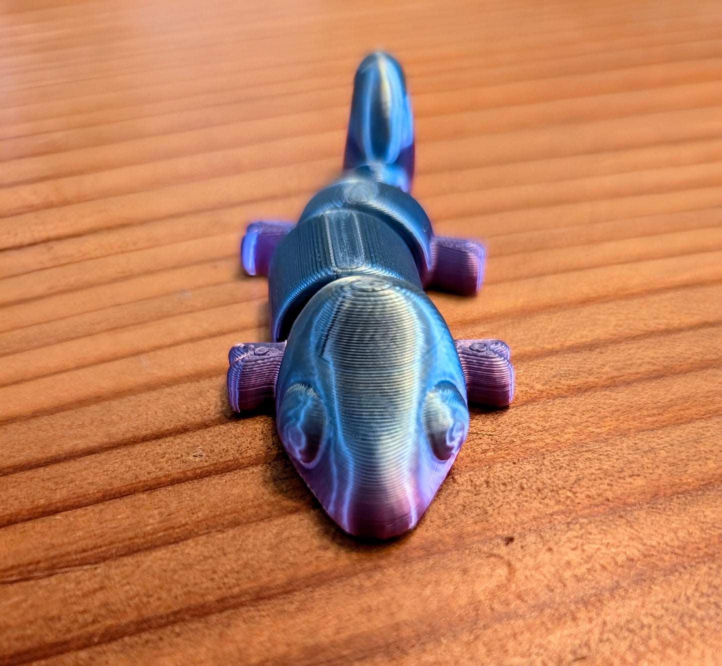 Multi colored chameleons